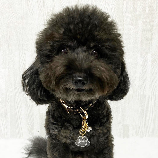 Custom Poodle Dog Tag