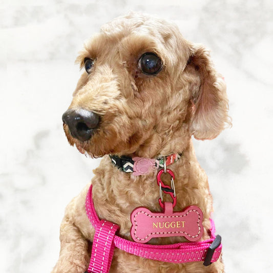 Handmade Leather Bone Dog Tag (Made in Singapore)