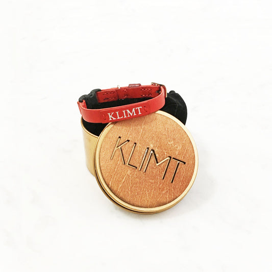 Personalised Leather Cat Collars with Breakaway buckle (Made in Singapore)