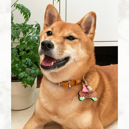Wooden Dog Tags (Made in Singapore)