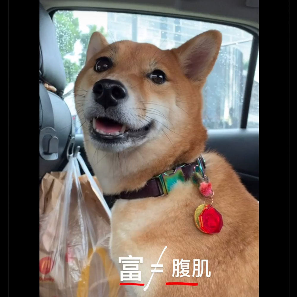 富 (character Fú) - Acrylic Tag