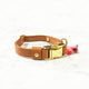 Cognac - Henbury Leather Dog Collar (Gold)