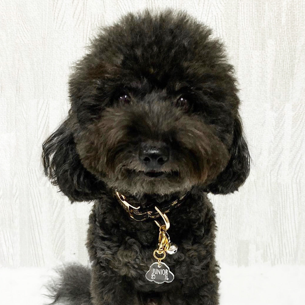 Custom Poodle Dog Tag
