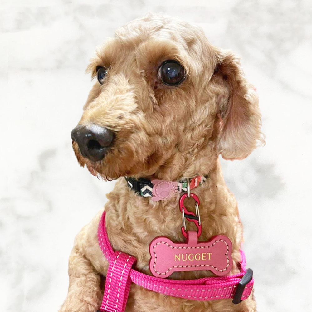 Handmade Leather Bone Dog Tag (Made in Singapore)