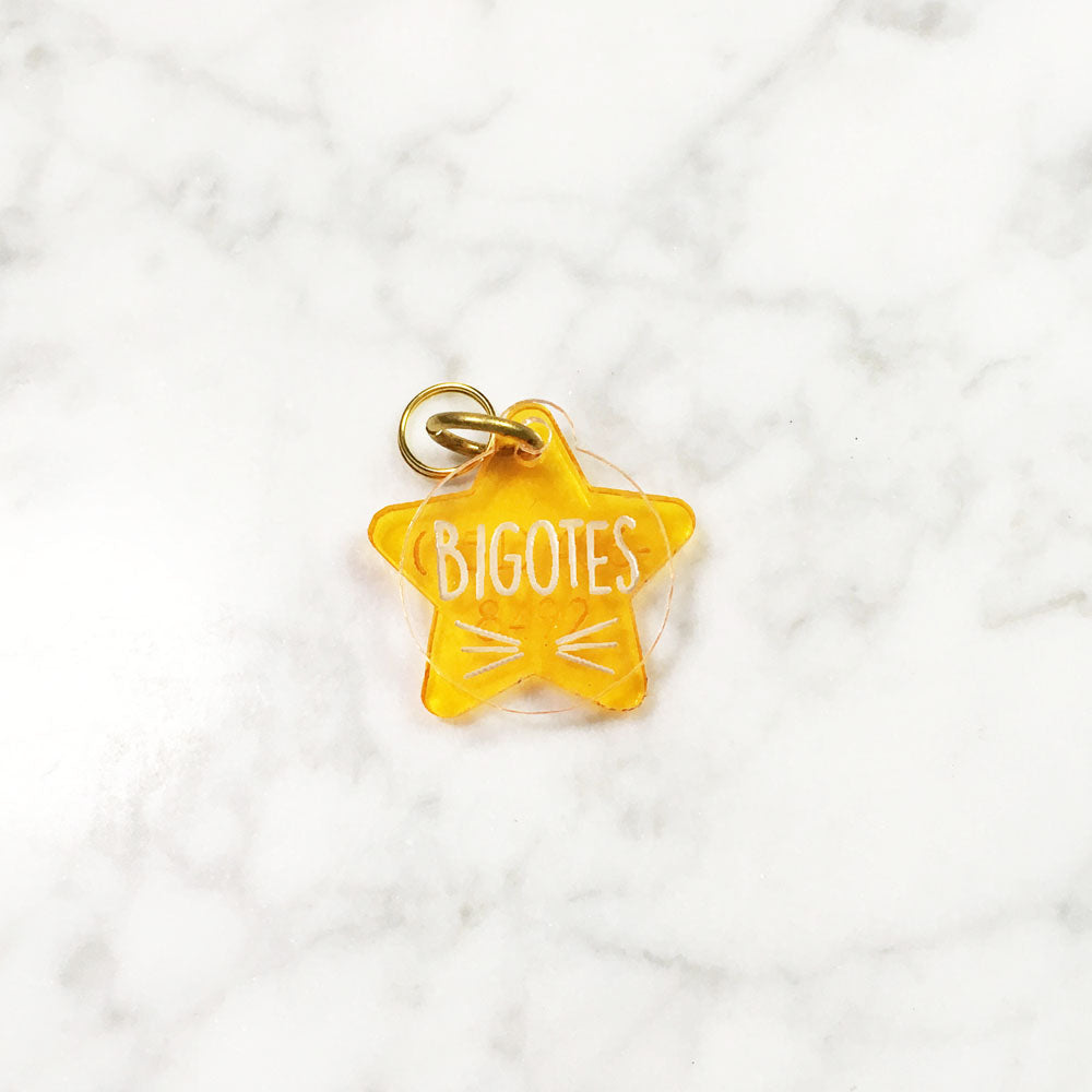Whiskers & Orange Star - Acrylic Tag