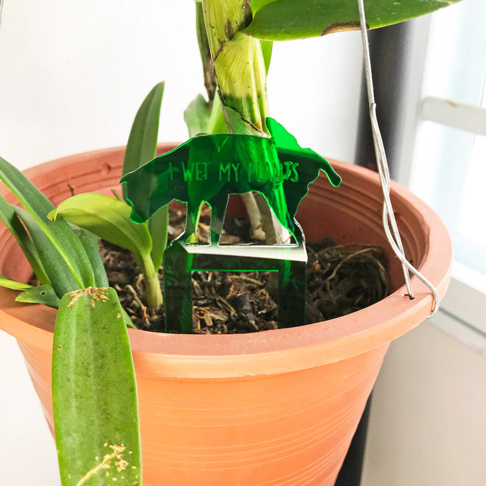 Dog - Acrylic Plant Marker