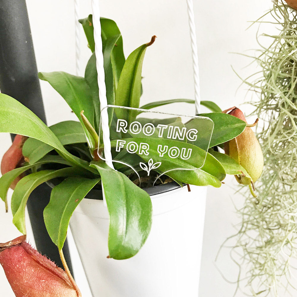 Rooting For you - Acrylic Plant Marker