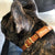 1.5cm Bloomsbury Leather Dog Collar - Avaloncraftsg