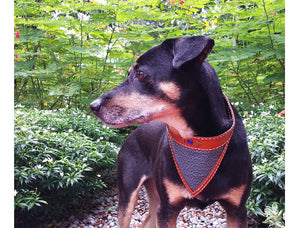 Brown Seigaiha - Fairbury Leather Dog Collar - Avaloncraftsg