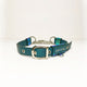 Ocean Teal - 2.5cm Fluxbury Leather Dog Collar (Special - Limited Edition)