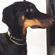 Black - Henbury Leather Dog Collar (Gold) - Avaloncraftsg