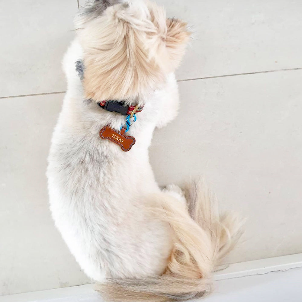 Brown - Leather Bone Dog Tag