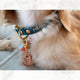 Teal - Henbury Leather Dog Collar (Gold) - Avaloncraftsg