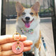 Paint Your Dog - 3cm Round Pet Tag - Avaloncraftsg