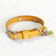 Yellow - Tilbury Dog Collar - Avaloncraftsg