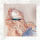 Teal - Tiny Tilbury Cat Collar (Gold) - Breakaway