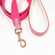Leather/Webbing Dog Leash - Pink & White